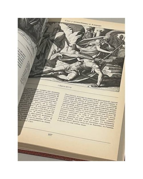 Дополнительное изображение книги «Библия в иллюстрациях Юлиуса Шнорр фон Карольсфельда»