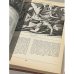 Дополнительное изображение книги «Библия в иллюстрациях Юлиуса Шнорр фон Карольсфельда»