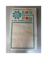 Дикорастущие плоды и ягоды и их применение