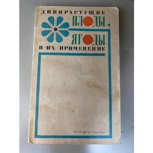 Дикорастущие плоды и ягоды и их применение