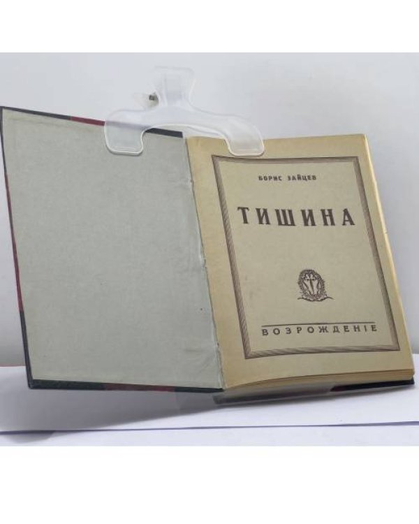 Дополнительное изображение книги «Тишина»