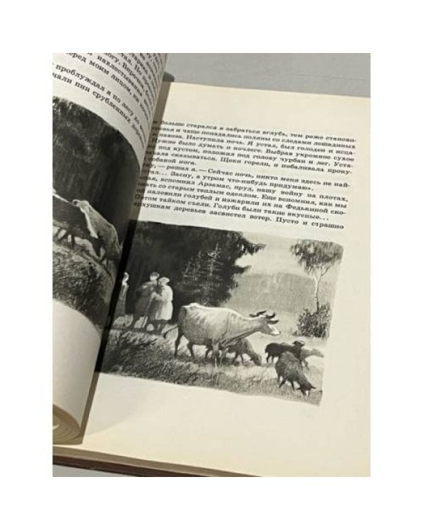 Дополнительное изображение книги «Аркадий Гайдар. Школа (1964 г.)»