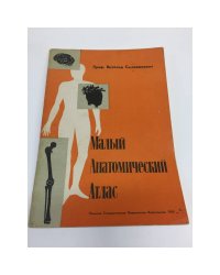 малый анатомический атлас