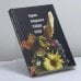 Обложка книги «Чемодан чепухи» — Людмила Стефановна Петрушевская, ISBN 9785264006777