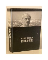 Владимир Кобрин