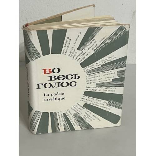 Во весь голос