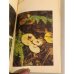 Дополнительное изображение книги «Тебе, грибник»