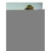 Дополнительное изображение книги «Айвазовский. Шишкин. Левитан. Мастера русского пейзажа»