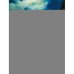 Дополнительное изображение книги «Айвазовский. Шишкин. Левитан. Мастера русского пейзажа»