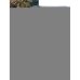 Дополнительное изображение книги «Айвазовский. Шишкин. Левитан. Мастера русского пейзажа»