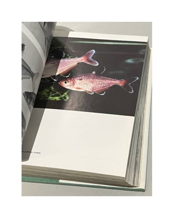 Дополнительное изображение книги «Иллюстрированная энциклопедия рыб»