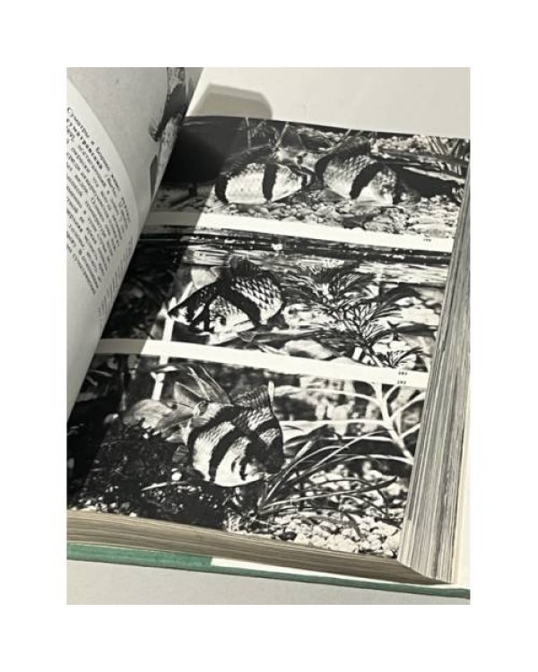 Дополнительное изображение книги «Иллюстрированная энциклопедия рыб»