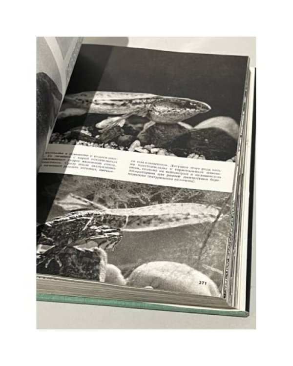 Дополнительное изображение книги «Иллюстрированная энциклопедия животных»
