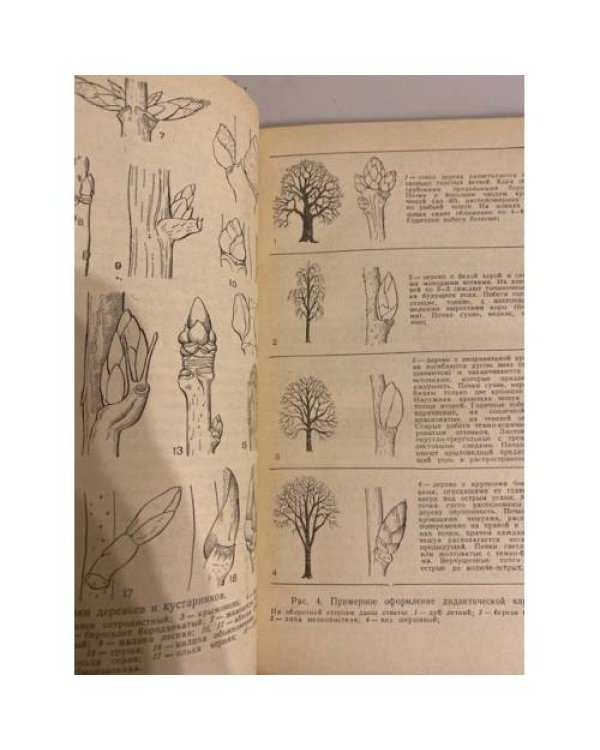 Дополнительное изображение книги «Биологические экскурсии»