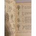 Дополнительное изображение книги «Биологические экскурсии»