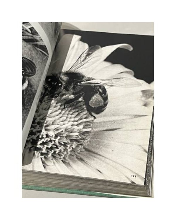 Дополнительное изображение книги «Иллюстрированная энциклопедия животных»