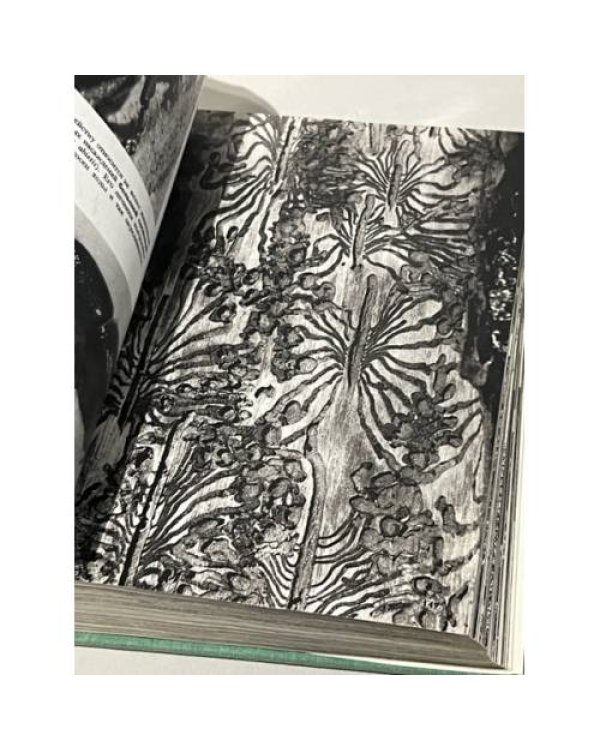 Дополнительное изображение книги «Иллюстрированная энциклопедия животных»