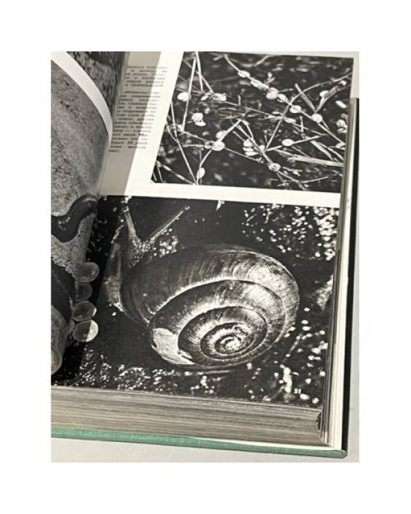 Дополнительное изображение книги «Иллюстрированная энциклопедия животных»