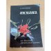 Икэбана или Вселенная, запечатленная в цветке