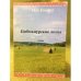 Цибикнурские липы