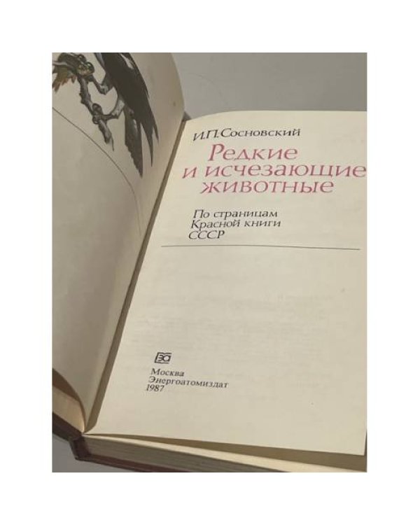 Редкие и исчезающие животные