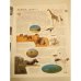 Дополнительное изображение книги «Wissen visuell. Das Bildlexikon»