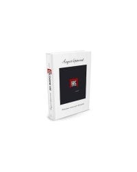 Бес искусства. Невероятная история одного арт-проекта