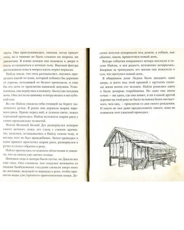 Дополнительное изображение книги «Найла и белый крокодил»