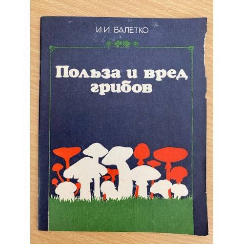 Польза и вред грибов