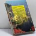 Дополнительное изображение книги «Ревнивая печаль»