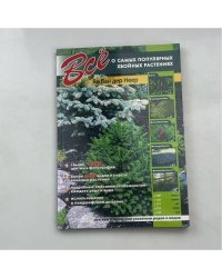 Всё о самых популярных хвойных растениях