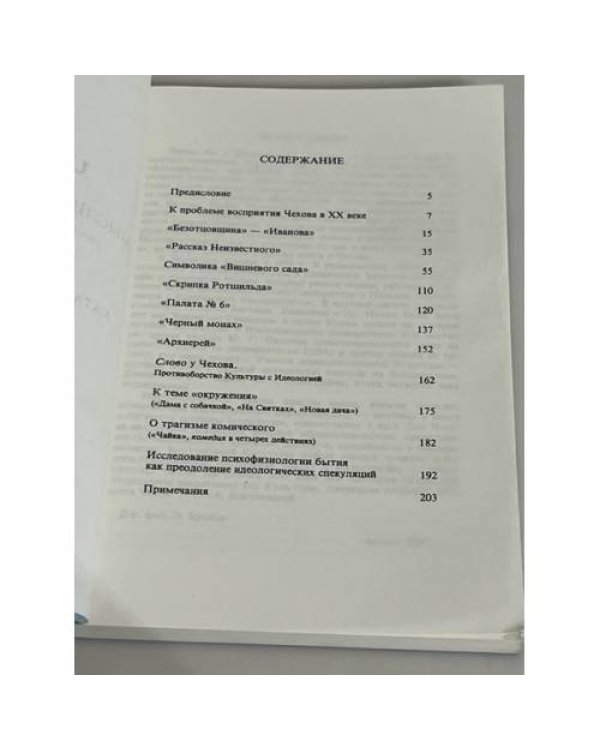 Чехов. Мыслитель. Художник