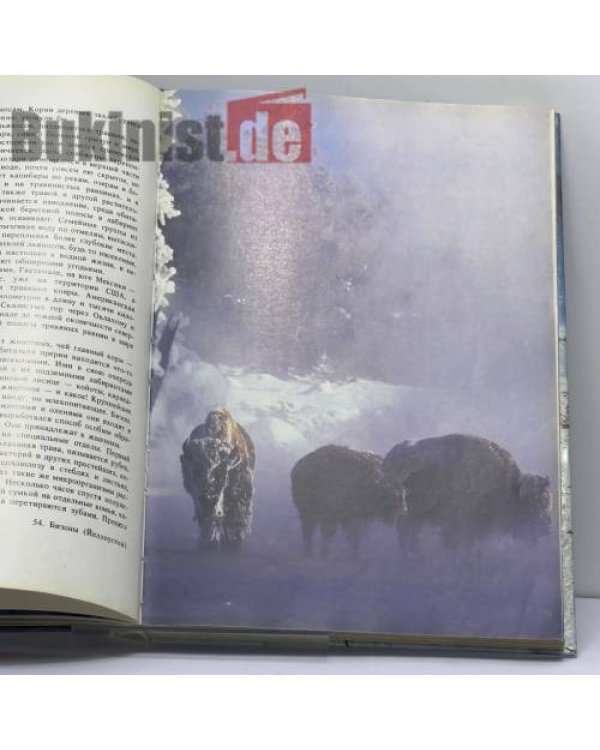 Дополнительное изображение книги «Живая планета»