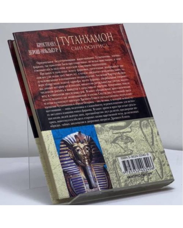Дополнительное изображение книги «Тутанхамон. Сын Осириса»