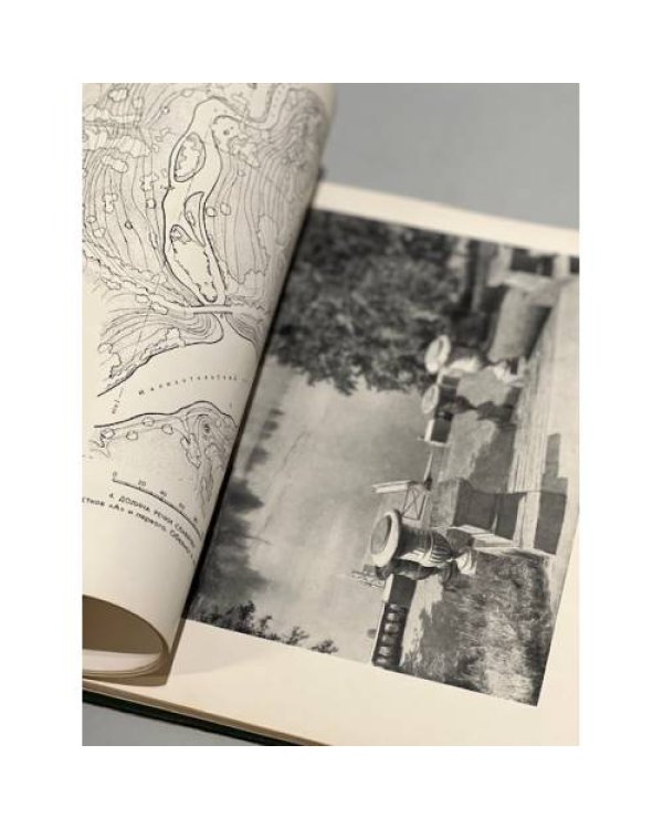 Дополнительное изображение книги «Павловский парк»