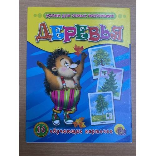 16 обучающих карточек. Деревья