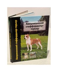Американский стаффордшир-терьер