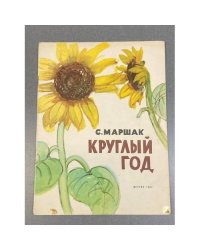 Круглый год