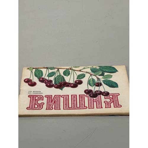 Обложка книги «Вишня» — А.М. Михеев, Н.Т. Ревякина