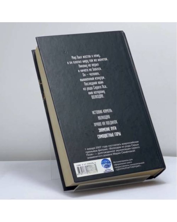 Дополнительное изображение книги «Волкодав: Звездный меч»