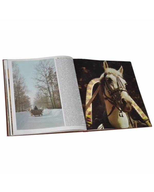Дополнительное изображение книги «Ветер в гриве»