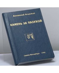 Камень за пазухой