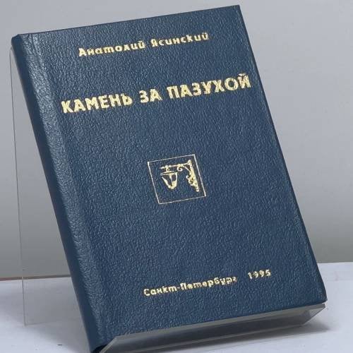 Обложка книги «Камень за пазухой» — Анатолий Ясинский