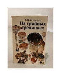 На грибных тропинках