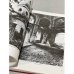 Дополнительное изображение книги «Разрушенные и оскверненные храмы. Москва и Средняя Россия»