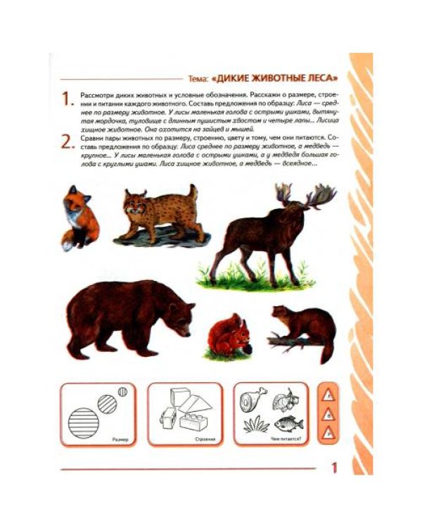 Дополнительное изображение книги «Развиваем связную речь у детей 6-7 лет с ОНР (комплект из 3-х альбомов)»