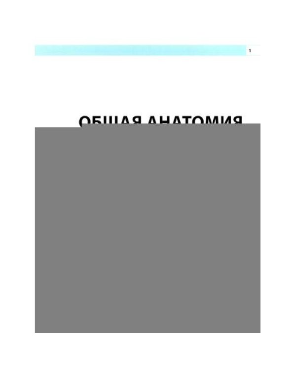 Дополнительное изображение книги «Анатомия человека атлас»