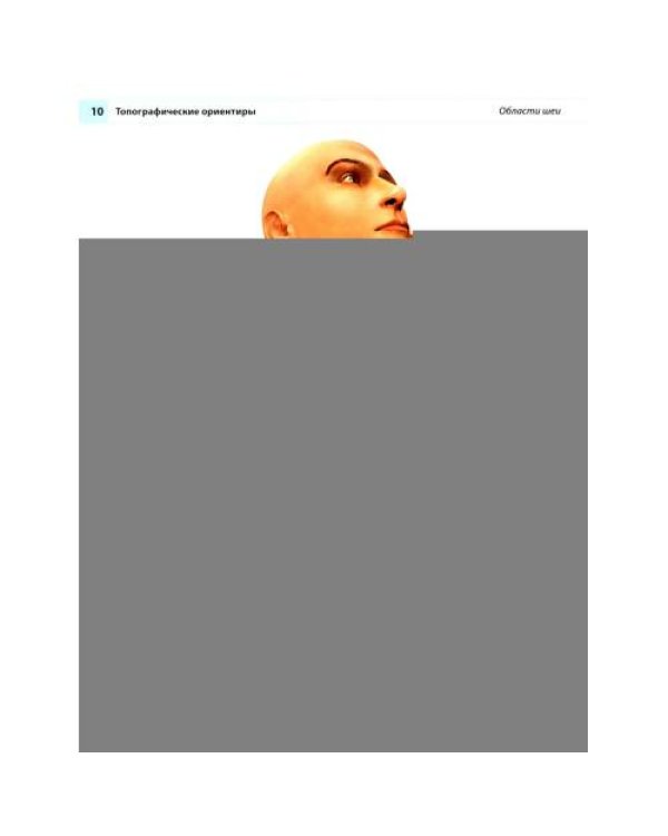 Дополнительное изображение книги «Анатомия человека атлас»