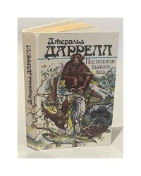 Под пологом пьяного леса