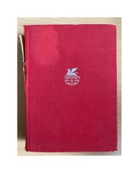 Хроника царствования Карла IX. Новеллы 